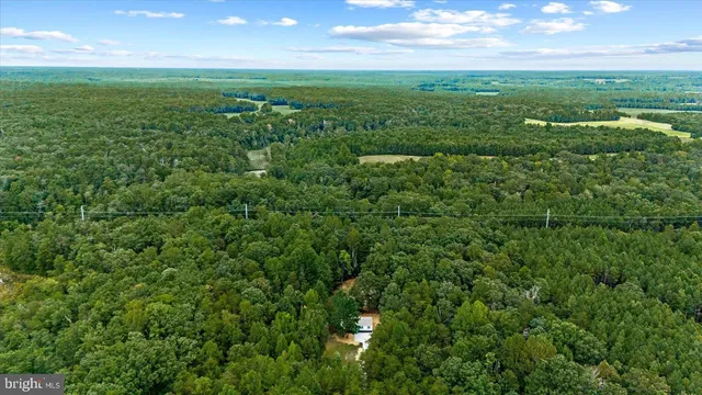 a view of a field of grass and trees