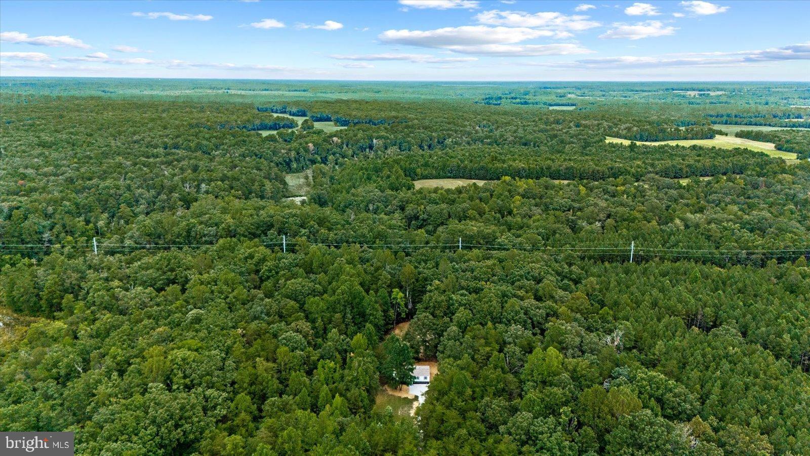 20105 Sparta Road Milford, VA 22514 - Photo 37 of 48 a view of a field of grass and trees