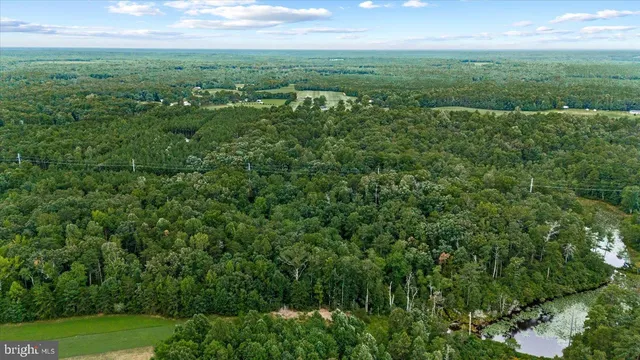 a view of a city with lush green forest