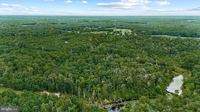 an aerial view of residential houses with outdoor and green space