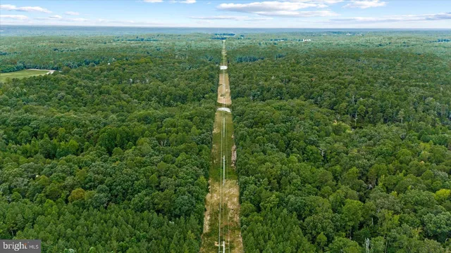 a view of a green field with lots of bushes