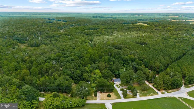 a view of a big yard with large trees