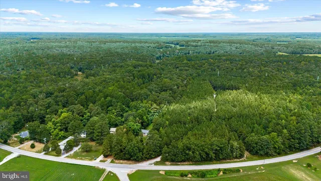 a view of a big yard with large trees