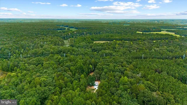 a view of a field of grass and trees