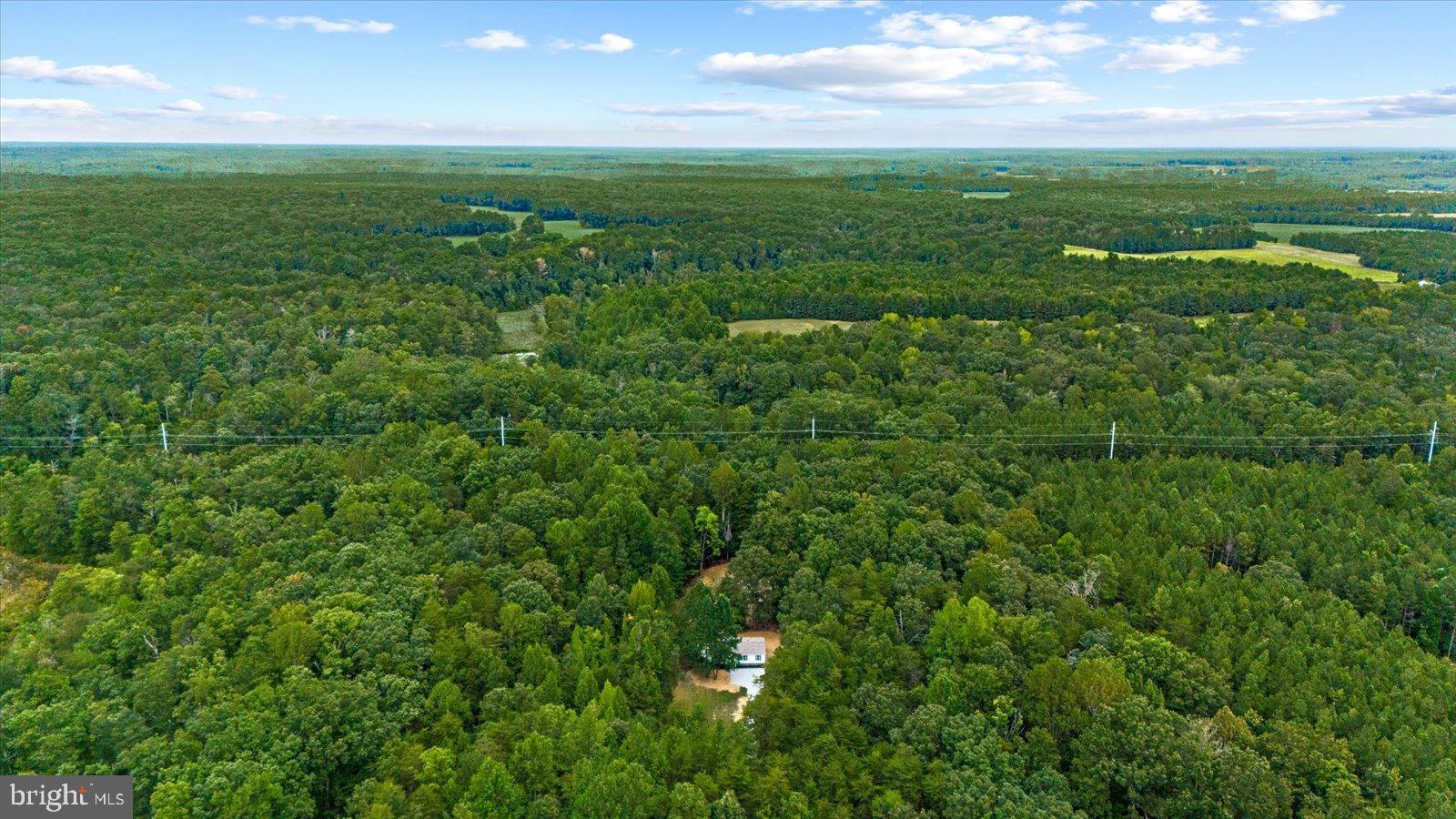 20105 Sparta Road Milford, VA 22514 - Photo 46 of 48 a view of a field of grass and trees