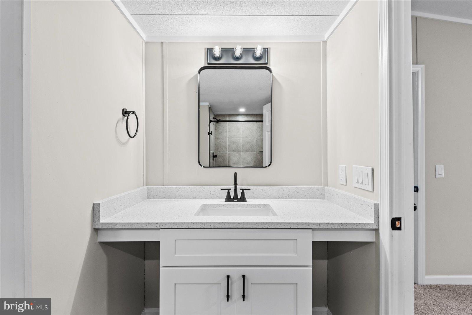 20105 Sparta Road Milford, VA 22514 - Photo 10 of 48 a sink with a mirror