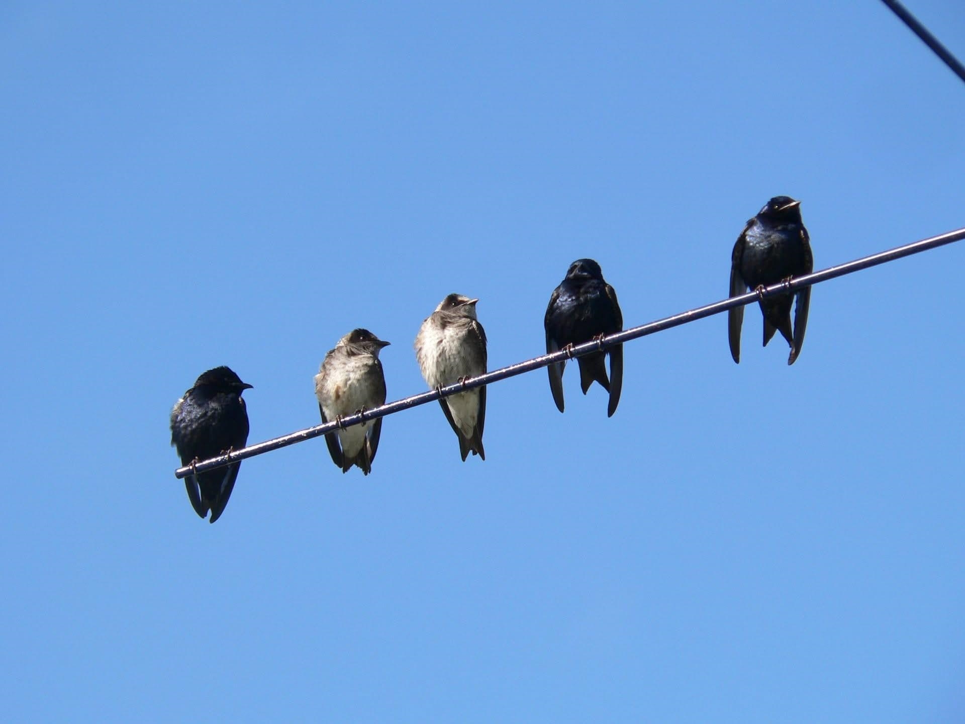 506 Sugar Belleville, WI 53508 - Photo 45 of 51