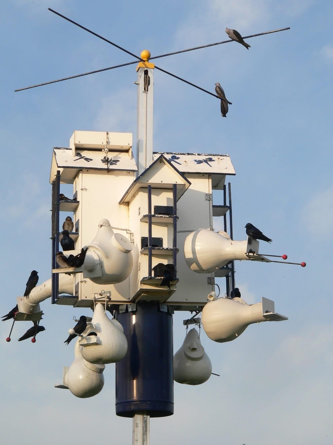 506 Sugar Belleville, WI 53508 - Photo 46 of 51