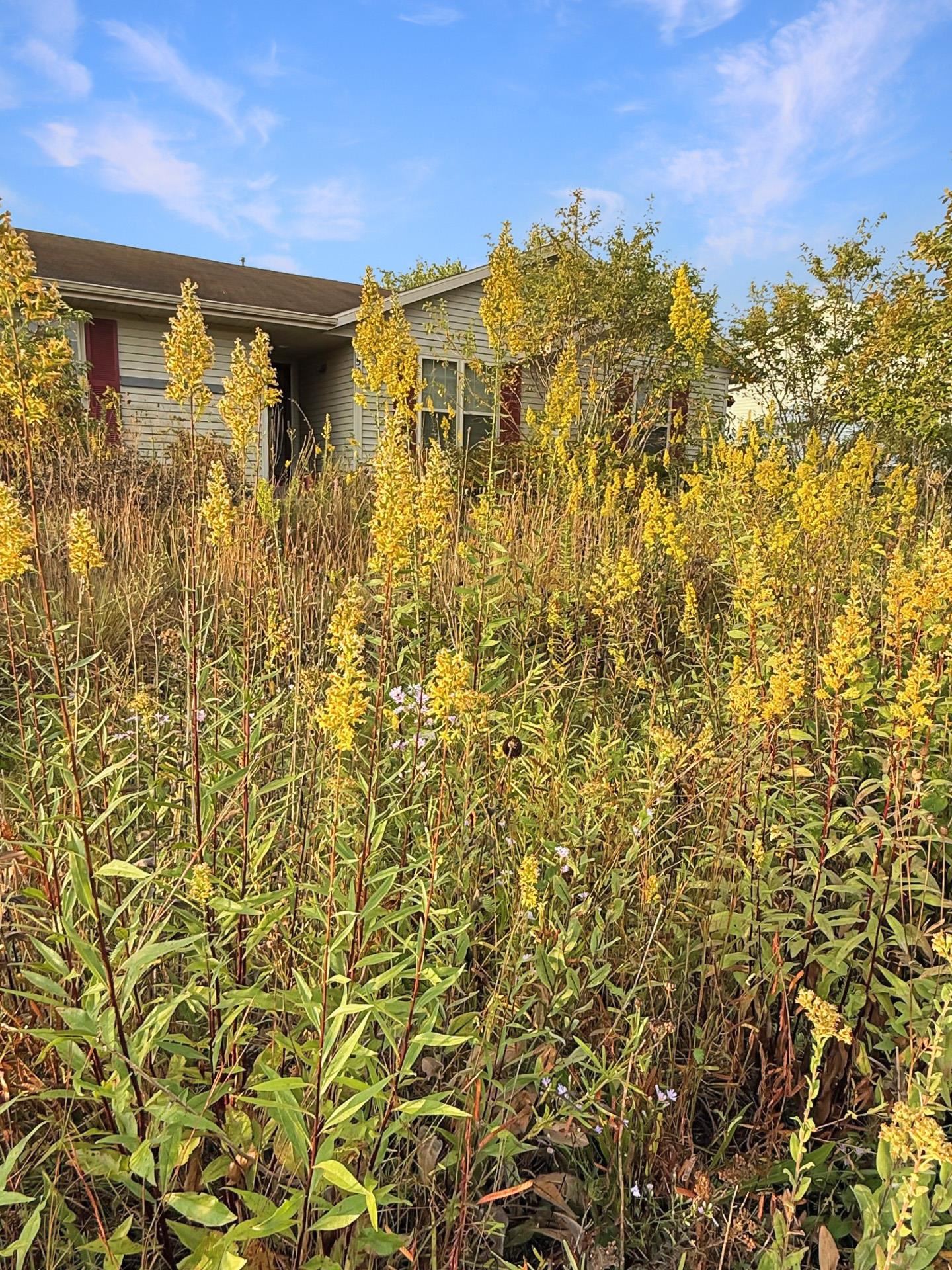 506 Sugar Belleville, WI 53508 - Photo 47 of 51