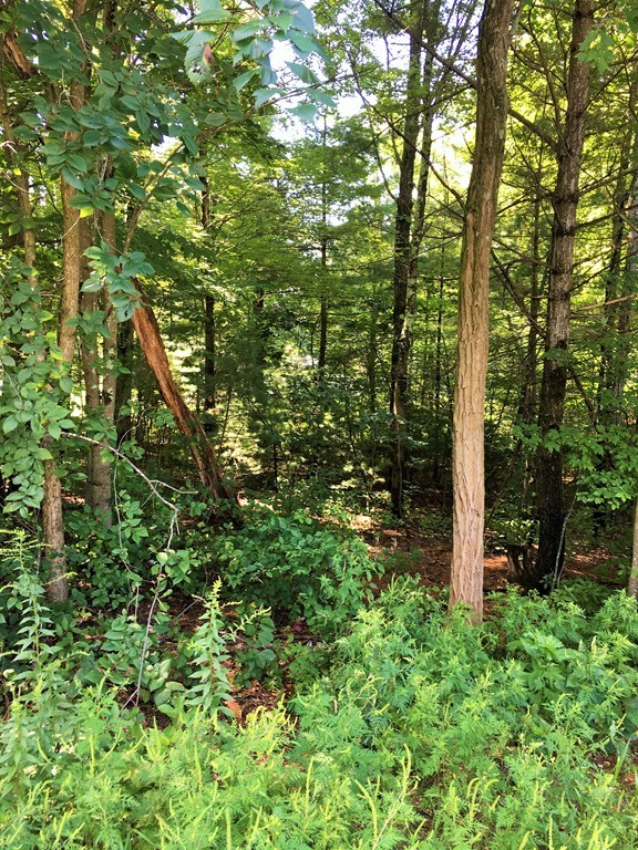 0 Turners Falls Road Montague, MA 01351 - Photo 5 of 6 Gallery Image 5
