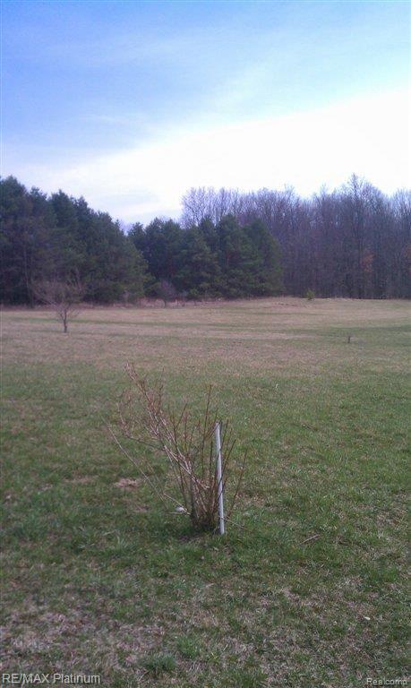 0 Allen Road Fenton, MI 48430 - Photo 9 of 9 IMAG0525.jpg