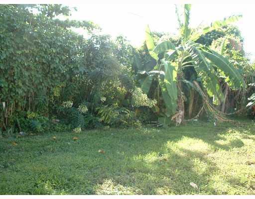 7786 Overlook Road Lake Worth, FL 33462 - Photo 10 of 10 YARD2.JPRG