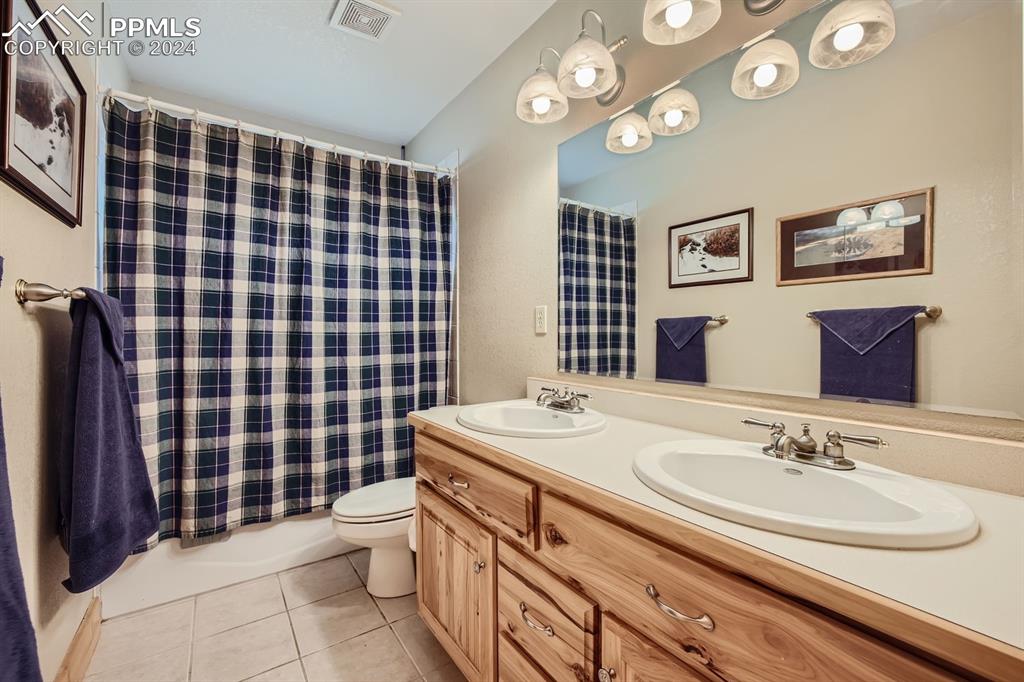 182 Joshua Road Divide, CO 80814 - Photo 17 of 41 a bathroom with a sink a toilet and shower curtain