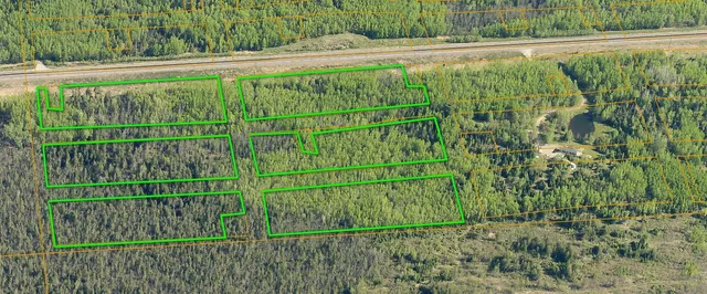 $65,000 | 115 Greenwood Twp Mn 55790, Tower, MN 55790