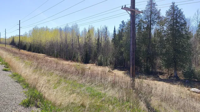 $65,000 | 115 Greenwood Twp Mn 55790, Tower, MN 55790