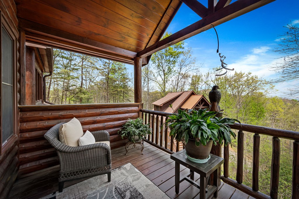 245 Davenport Mountain Road Blue Ridge, GA 30513 - Photo 32 of 73 Gallery Image 32