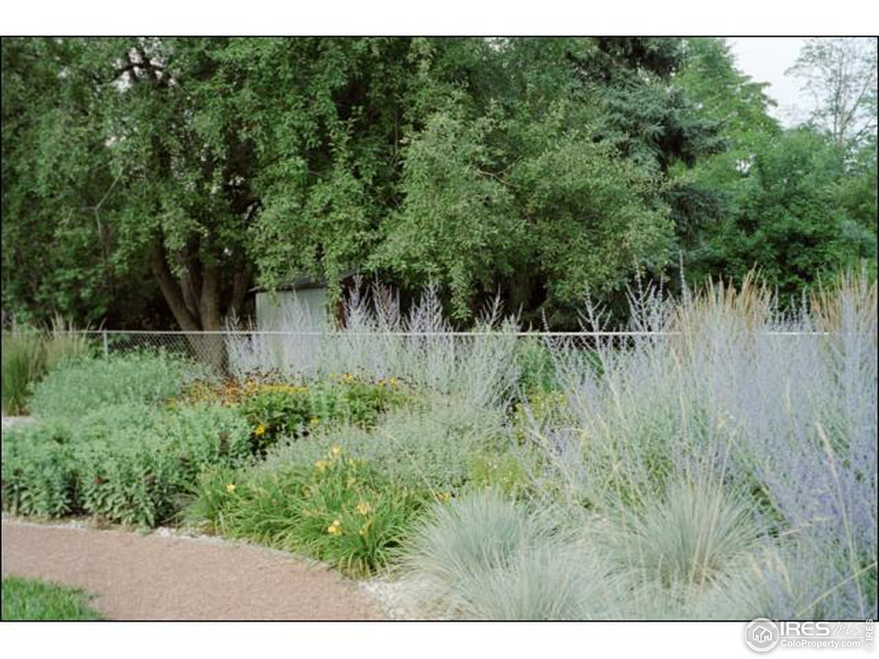516 Columbia Road Fort Collins, CO 80525 - Photo 11 of 15 Gallery Image 11