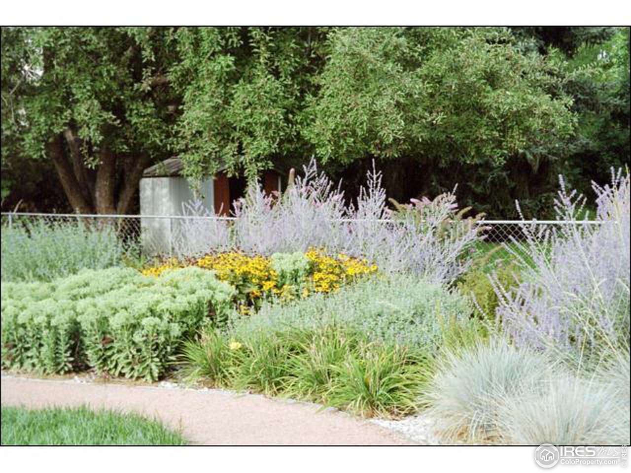 516 Columbia Road Fort Collins, CO 80525 - Photo 13 of 15 Gallery Image 13