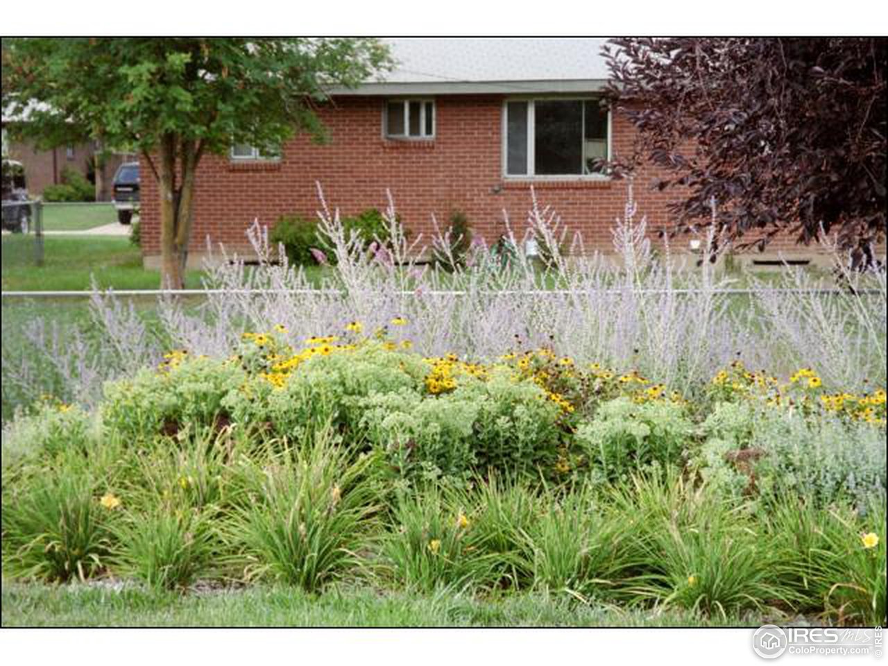 516 Columbia Road Fort Collins, CO 80525 - Photo 15 of 15 Gallery Image 15