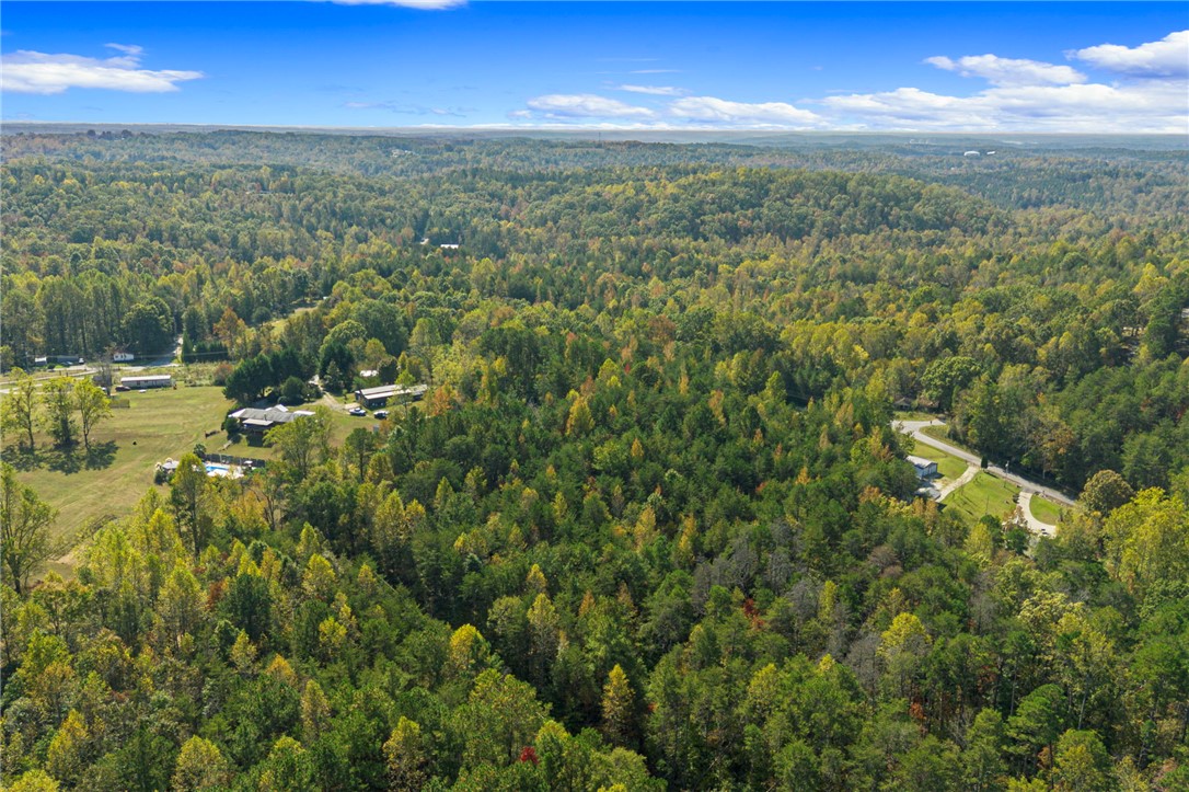 0 Duncan Road Six Mile, SC 29682 - Photo 11 of 12