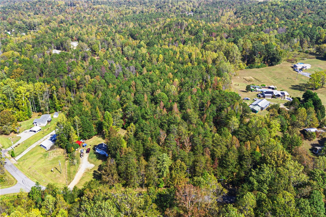 0 Duncan Road Six Mile, SC 29682 - Photo 3 of 12