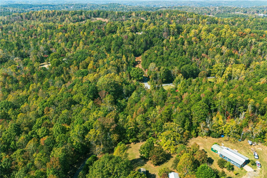 0 Duncan Road Six Mile, SC 29682 - Photo 6 of 12