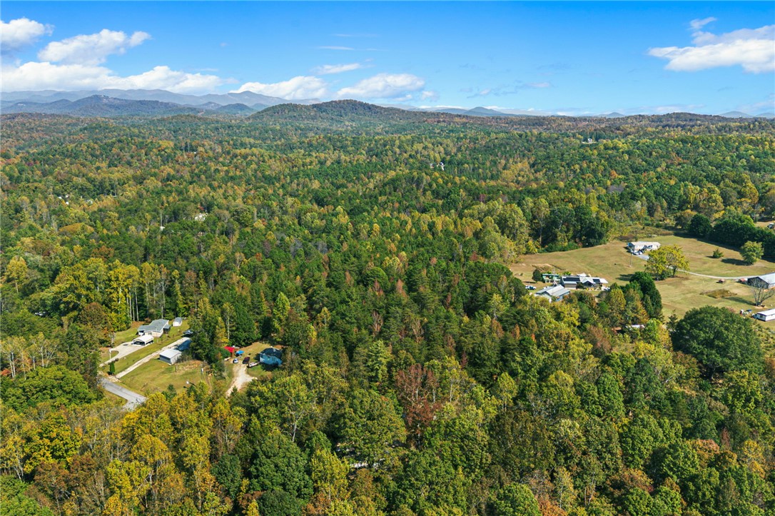 0 Duncan Road Six Mile, SC 29682 - Photo 8 of 12