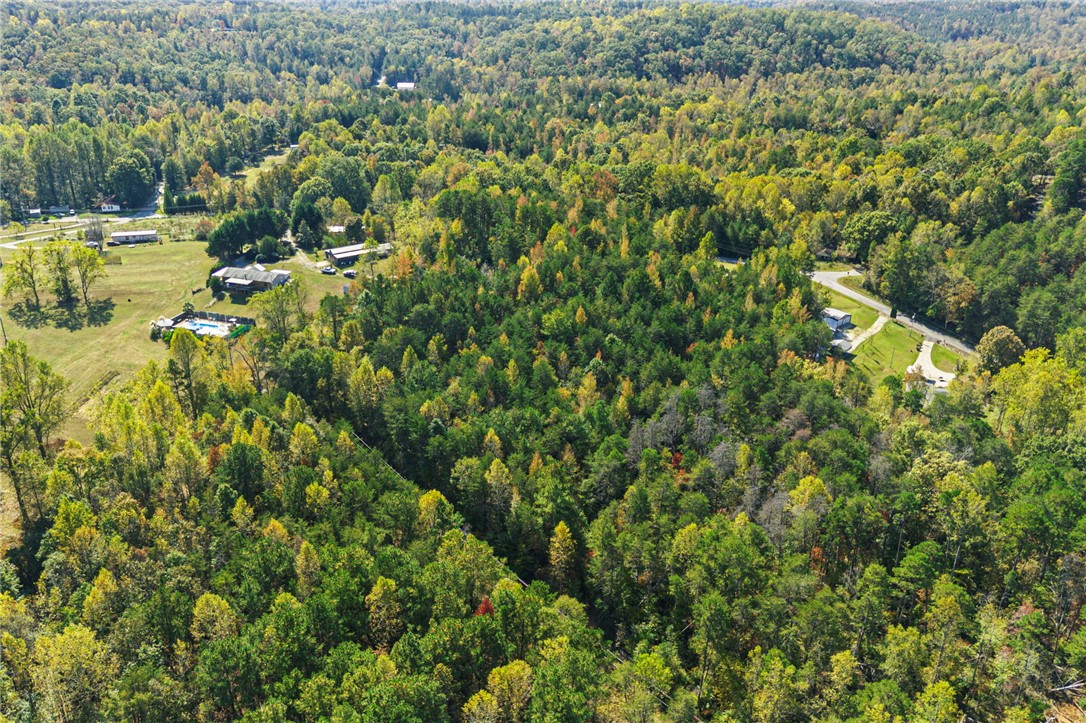 0 Duncan Road Six Mile, SC 29682 - Photo 10 of 12