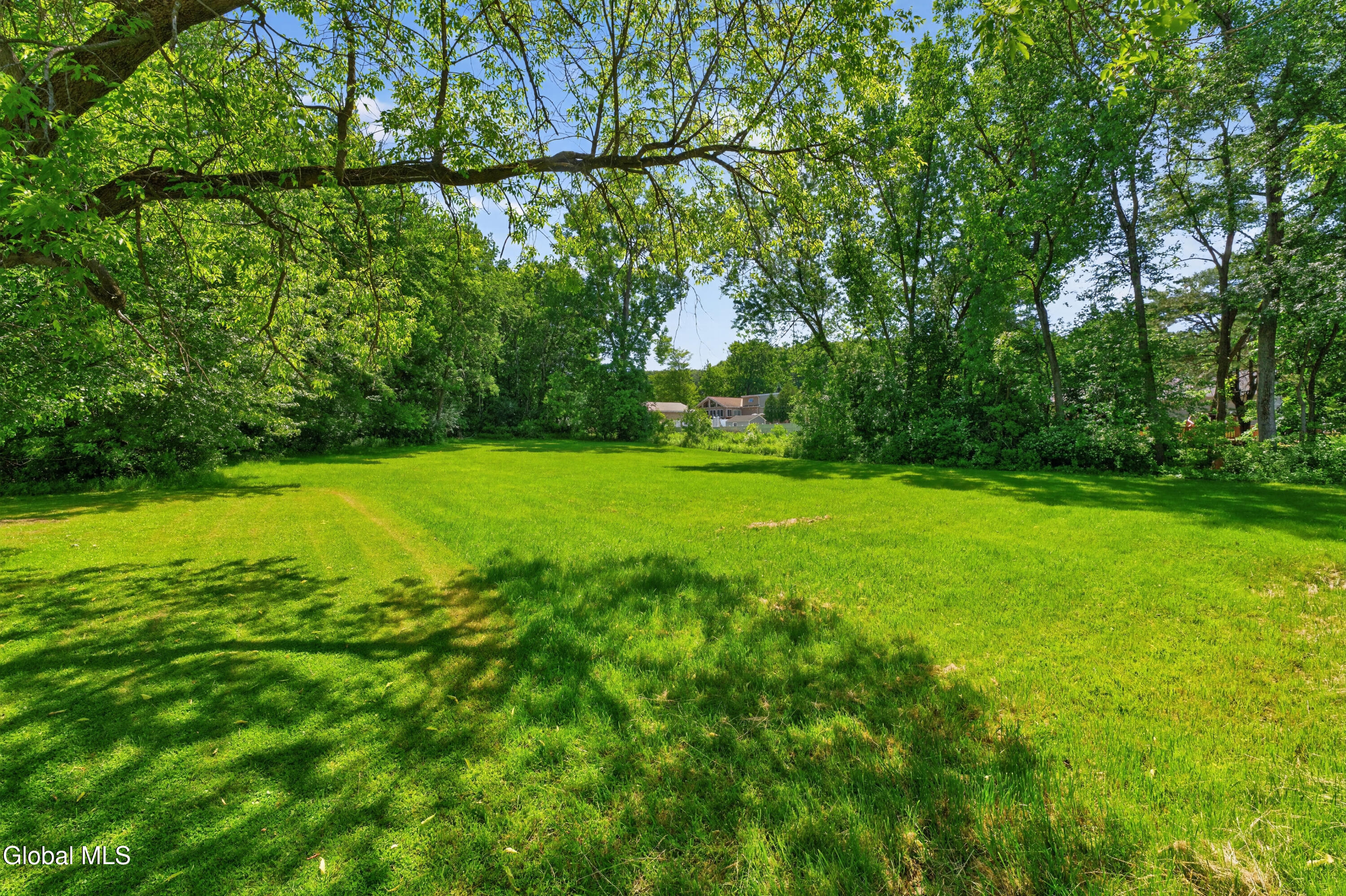 223 Vly Road Colonie, NY 12309 - Photo 15 of 16 Yard 6