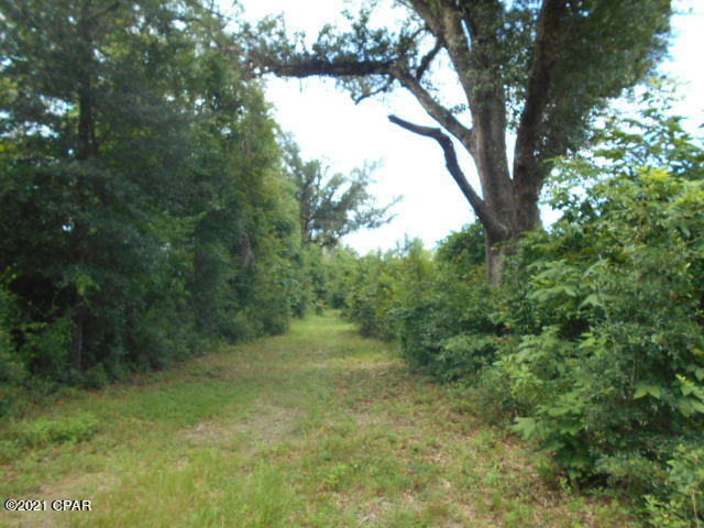 0 Parramore Road Sneads, FL 32460 - Photo 11 of 15