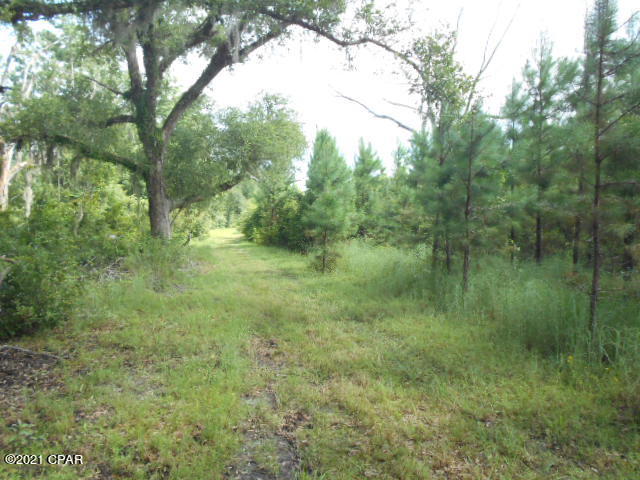 0 Parramore Road Sneads, FL 32460 - Photo 3 of 15