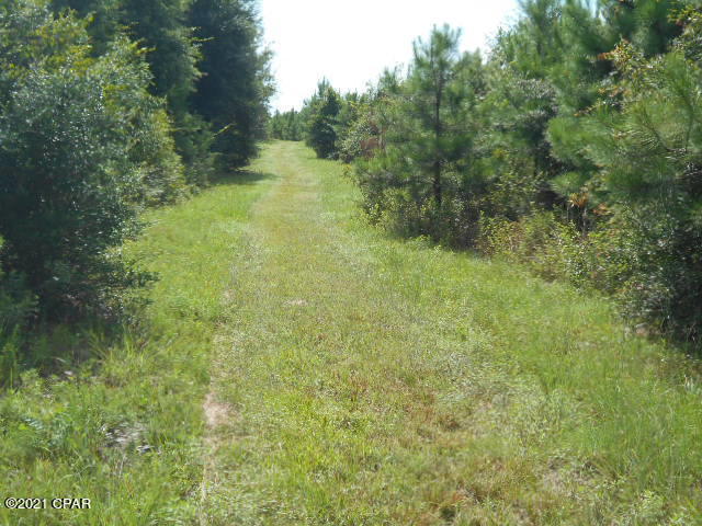 0 Parramore Road Sneads, FL 32460 - Photo 8 of 15