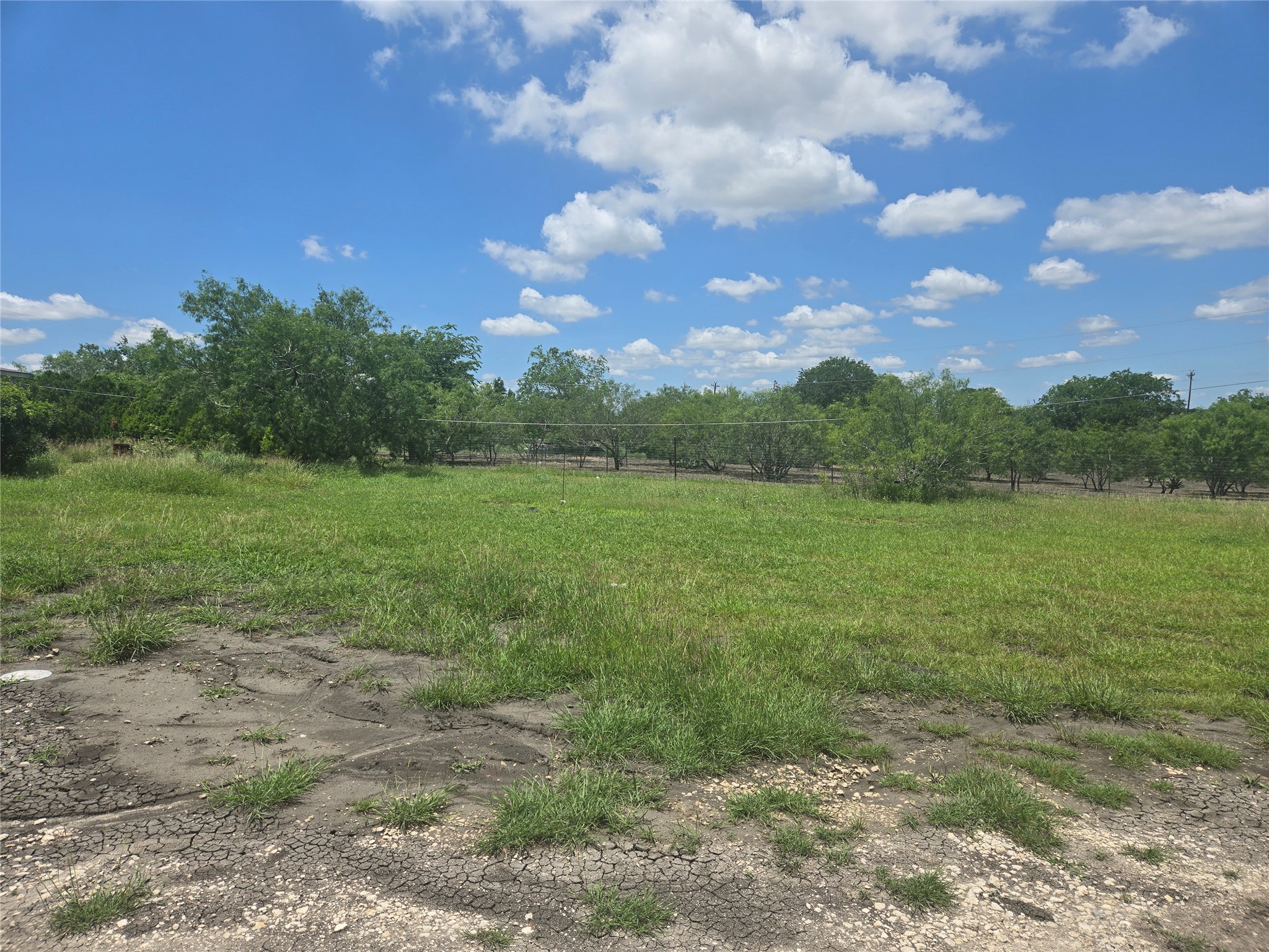 150 Longhorn Loop Kyle, TX 78640 - Photo 5 of 13 a view of a field with an trees in the background