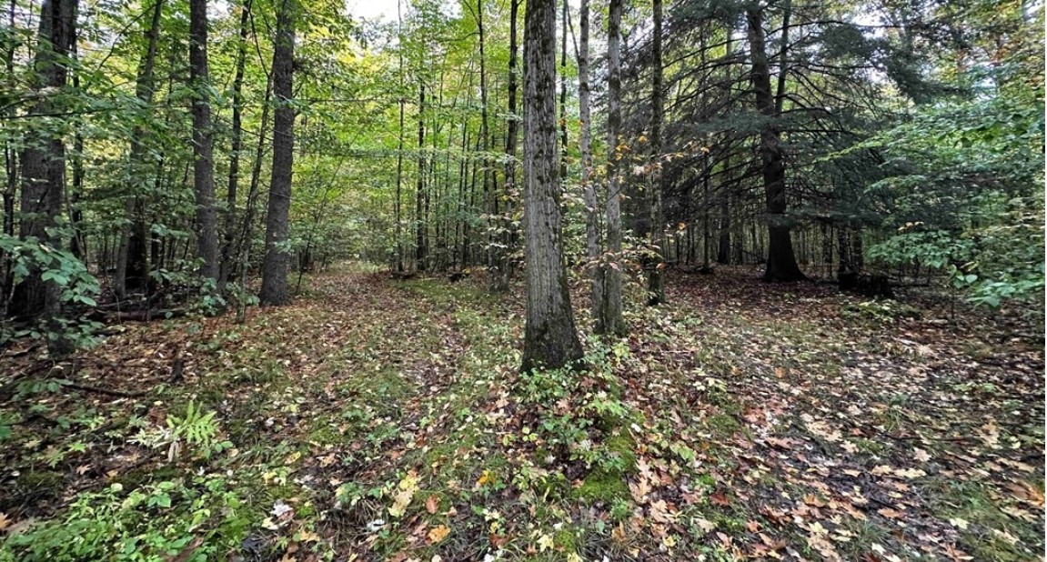 8248 Gallagher Road Pulteney, NY 14840 - Photo 12 of 20 Gallery Image 12