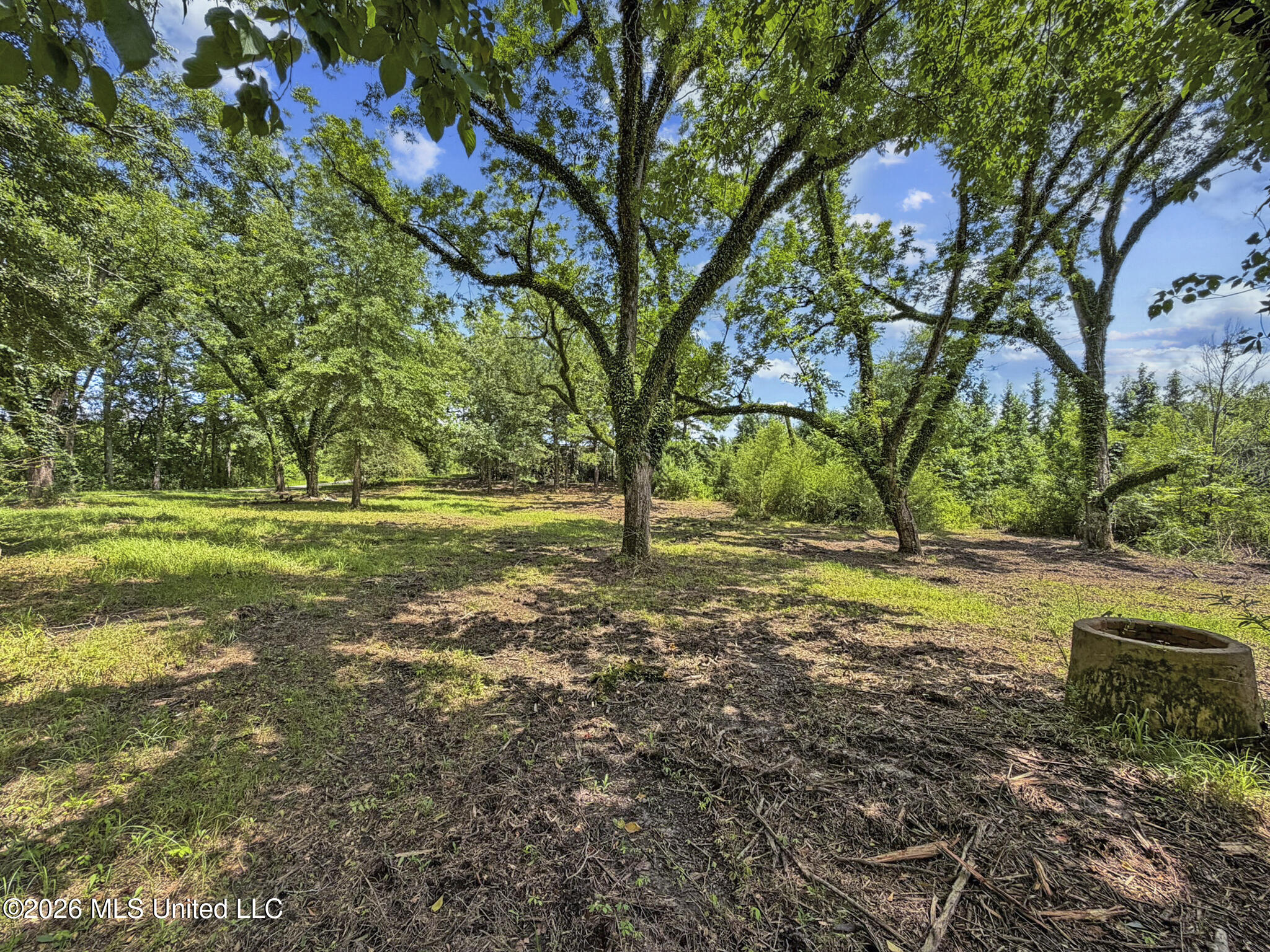 13 Co Road Louin, MS 39338 - Photo 13 of 29 IMG_3462