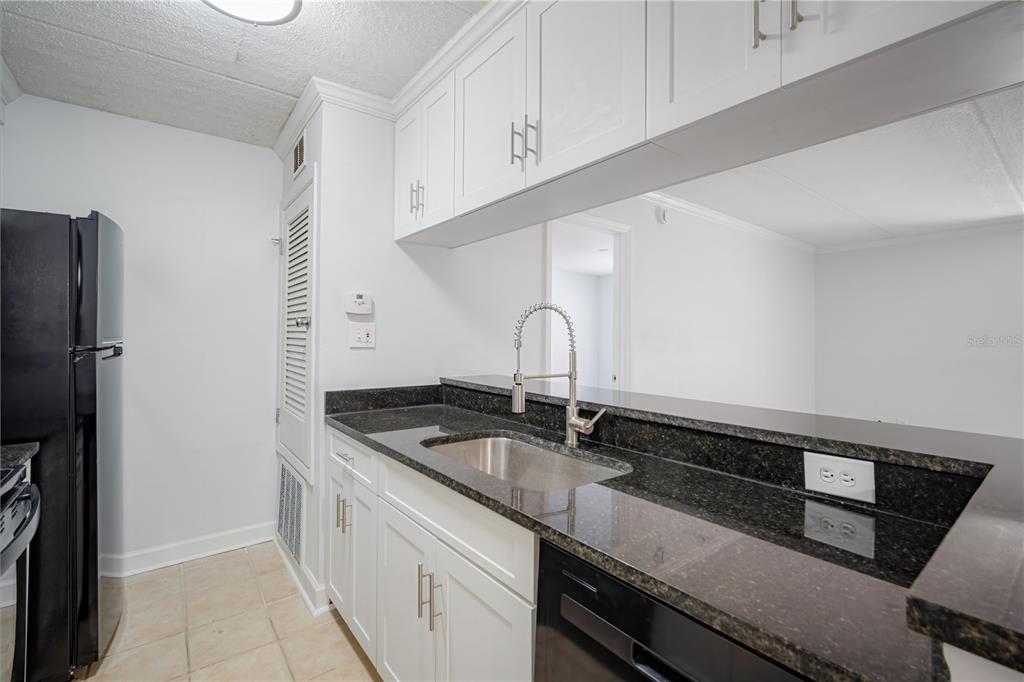 5305 San Sebastian Court, Unit 125 Tampa, FL 33609 - Photo 8 of 21 a kitchen with granite countertop a sink and cabinets