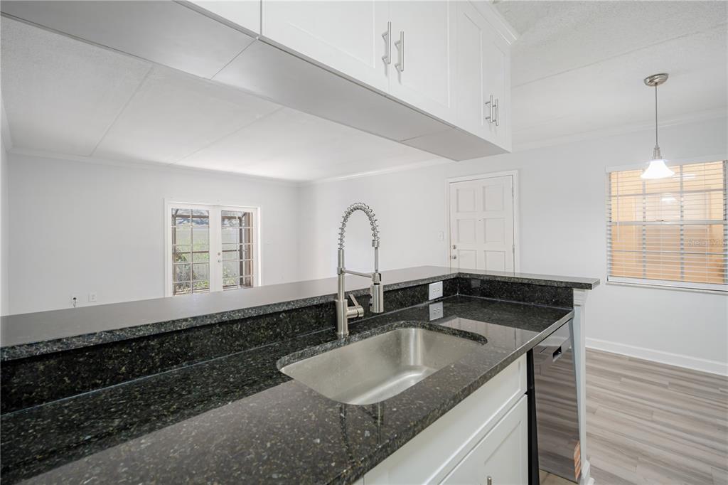 5305 San Sebastian Court, Unit 125 Tampa, FL 33609 - Photo 10 of 21 a kitchen with granite countertop a sink and cabinets