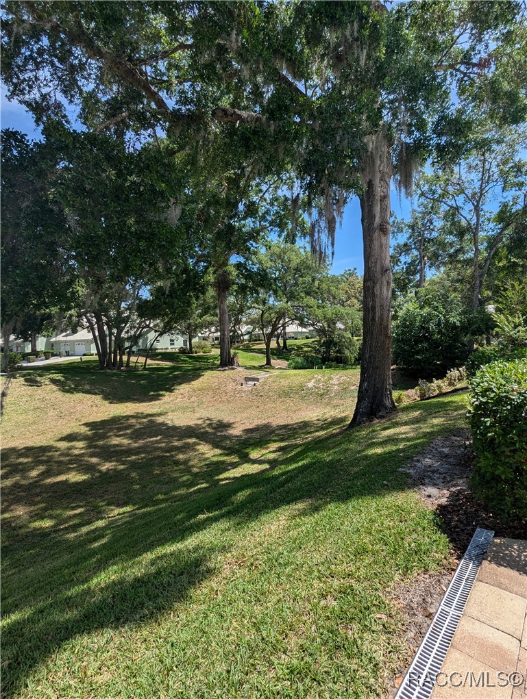 806 Windermere Boulevard Inverness, FL 34453 - Photo 3 of 23