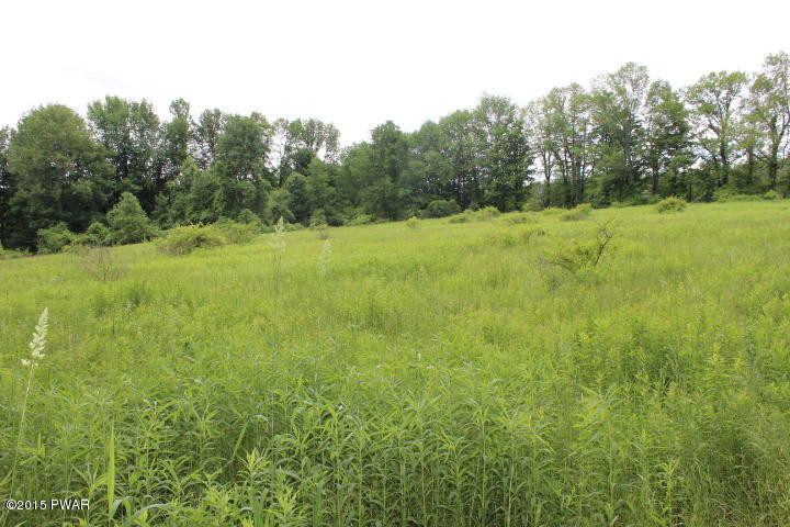 1049 Swoyer Road Lake Ariel, PA 18436 - Photo 7 of 31