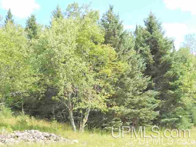 Tbd Tbd Off Stagecoach Road Michigamme, MI 49861 - Photo 12 of 37