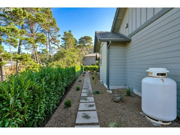 a view of a backyard with plants