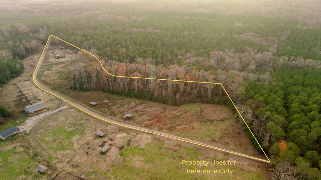 181 Tuck Road Bradley, SC 29819 - Photo 10 of 43 Gallery Image 10