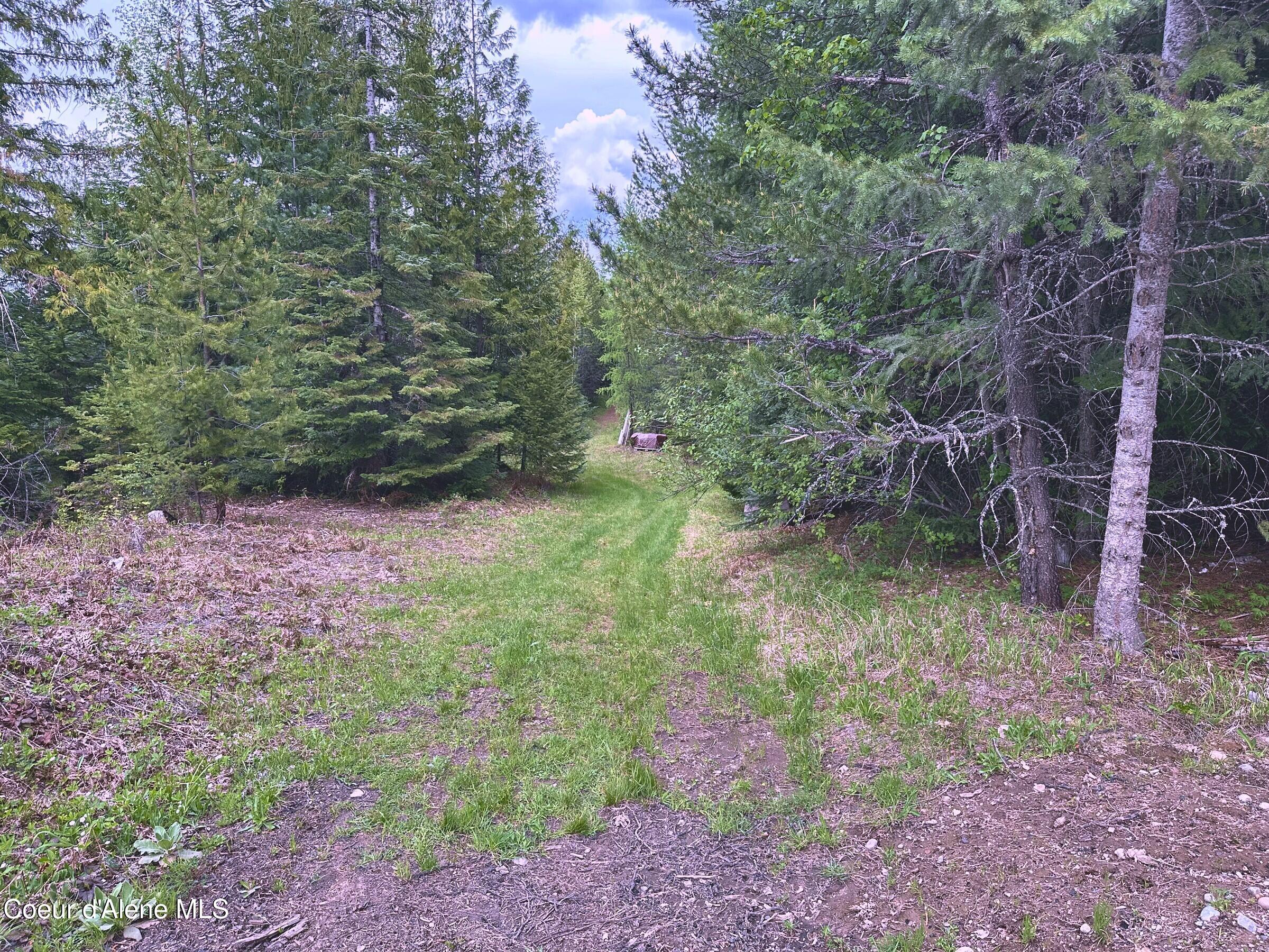 1427 Roop Road Cocolalla, ID 83813 - Photo 25 of 36 IMG_6594_MLS_enhanced