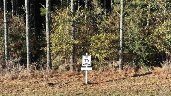 $99,900 | Lot 70 Straw Bridge Road, Jay, FL 32565