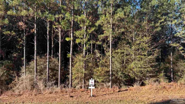 $99,900 | Lot 70 Straw Bridge Road, Jay, FL 32565