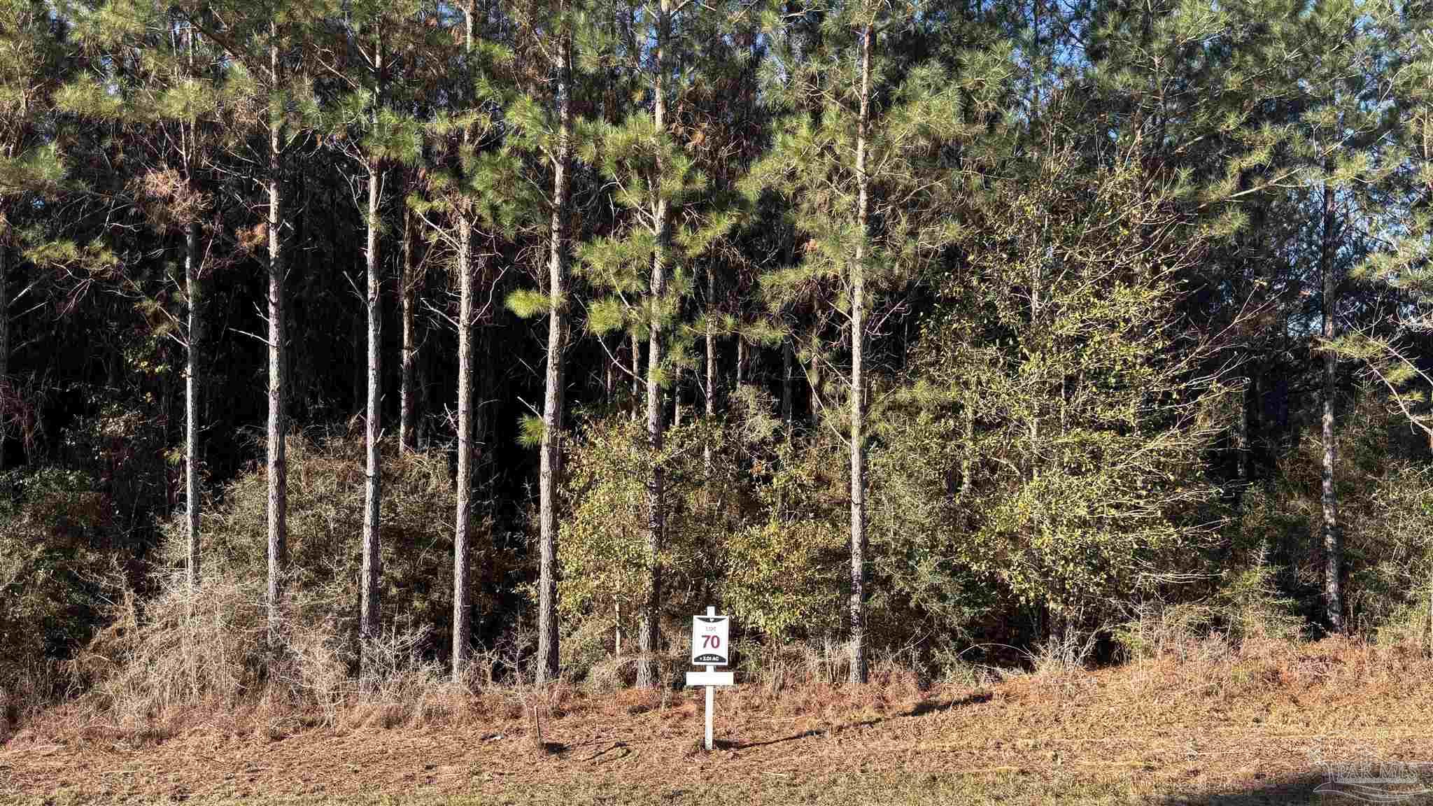 Lot 70 Straw Bridge Road Jay, FL 32565 - Photo 2 of 4
