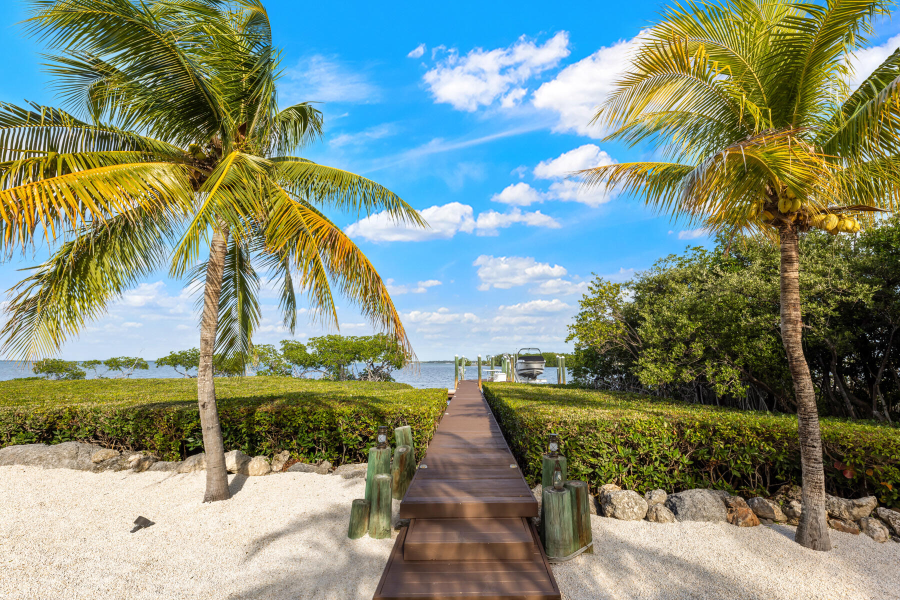 51 Mutiny Place Key Largo, FL 33037 - Photo 53 of 75 a view of a yard with palm trees