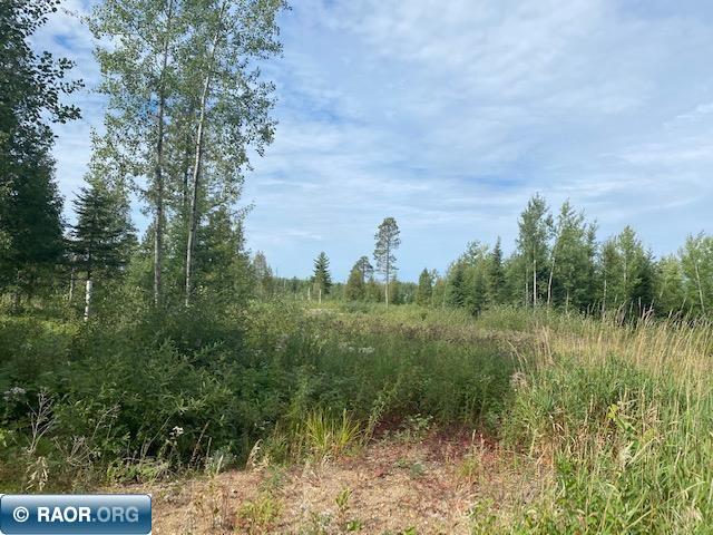 5388 Nikula Road Embarrass, MN 55732 - Photo 1 of 1