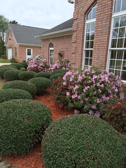 630 Black Zion Road Pontotoc, MS 38863 - Photo 6 of 59 Gallery Image 6