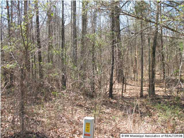 15 South Ricks Road Coldwater, MS 38618 - Photo 1 of 1 Primary Photo